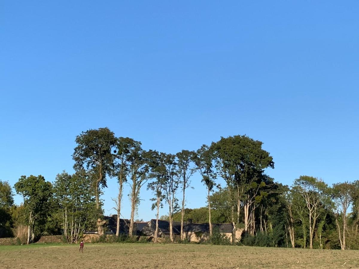 Jolie Metairie D'Une Seigneurie Bretonne. Peaule Екстер'єр фото